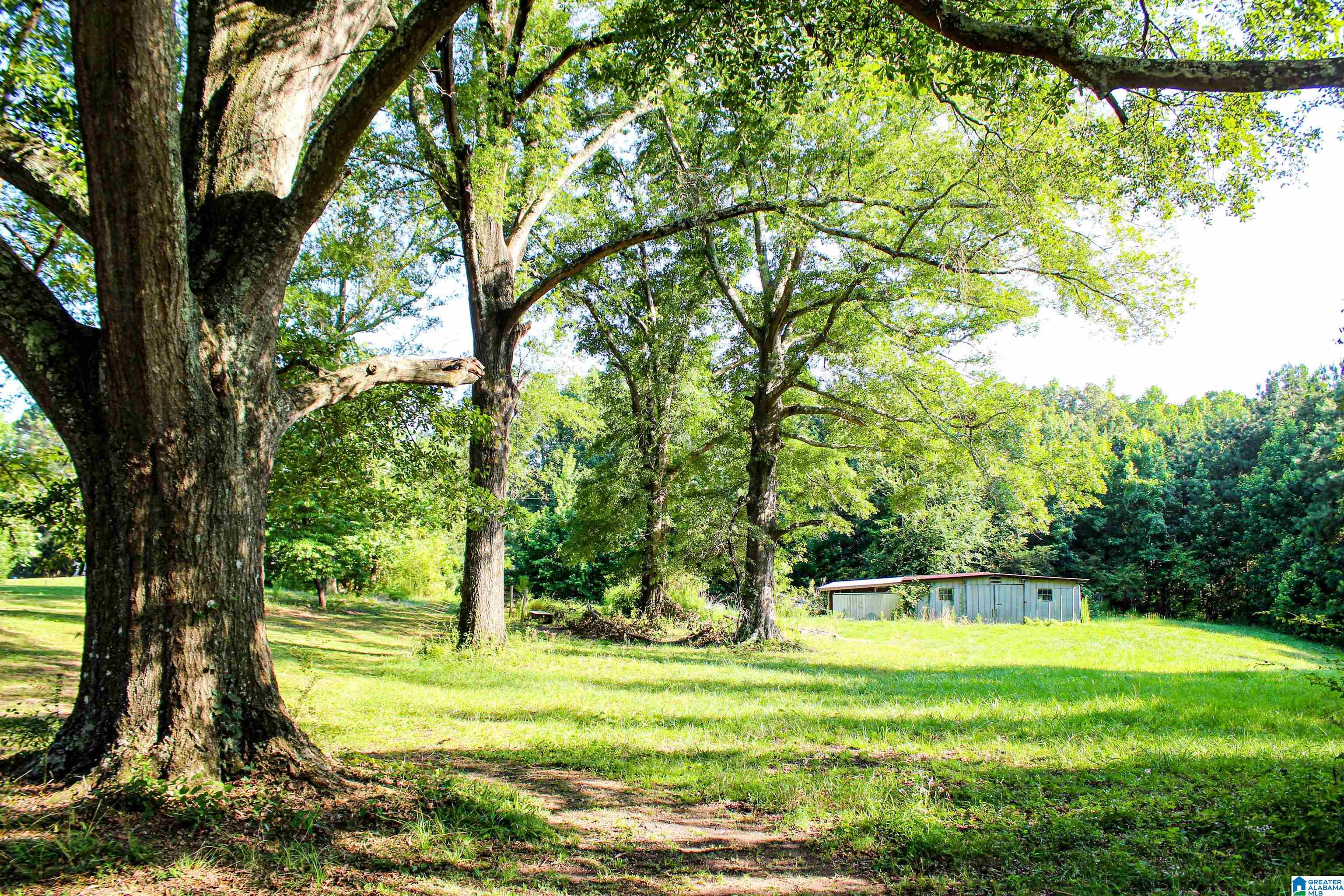 0 Aaron Road Jasper, AL 35501 - Photo 1 of 44