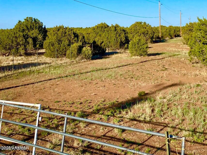Tbd Bourdon Ranch Road, Unit 1 Show Low, AZ 85901 - Photo 29 of 34 20250523083524165017000000-o