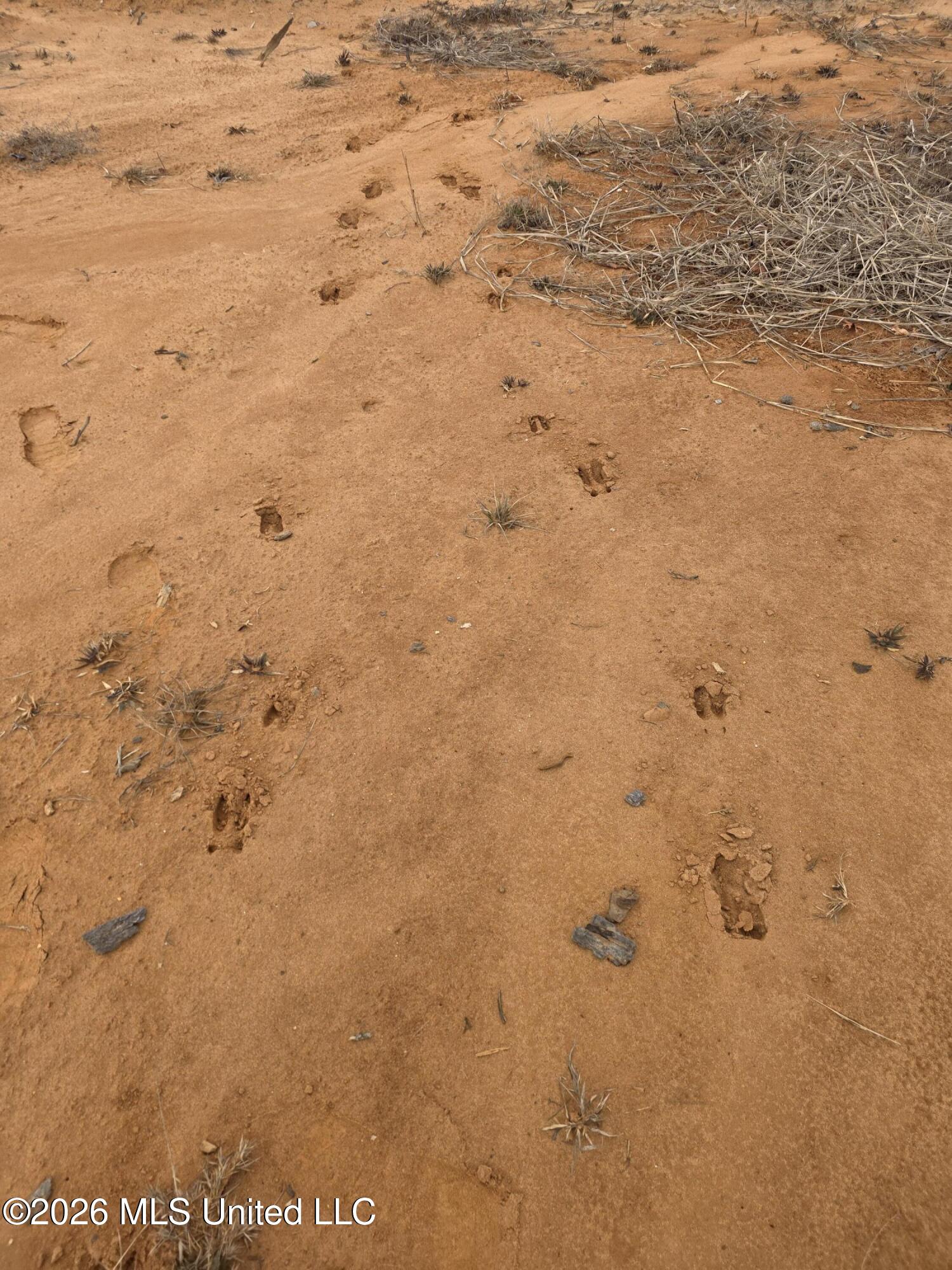 32 Co Road Dennis, MS 38838 - Photo 11 of 11 27898