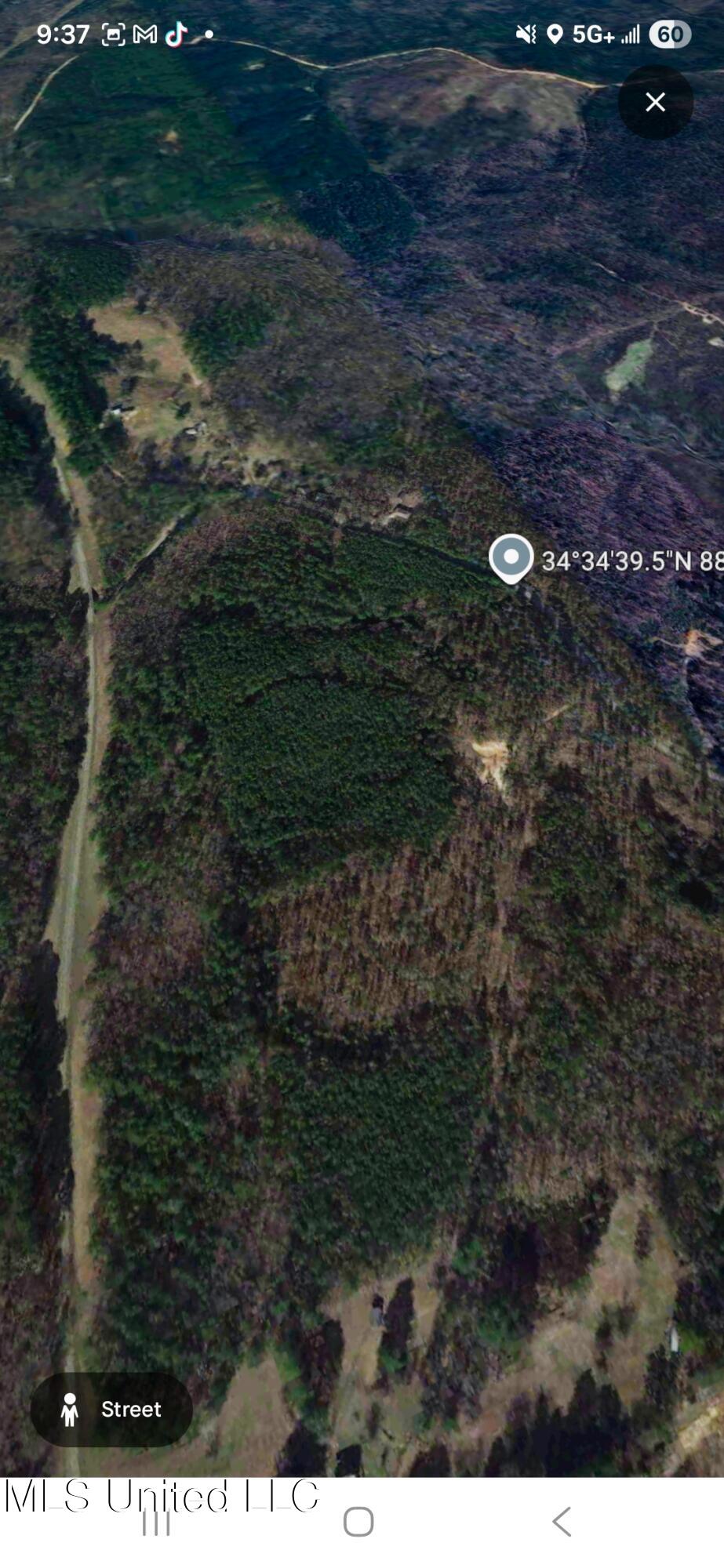 32 Co Road Dennis, MS 38838 - Photo 2 of 10 26144