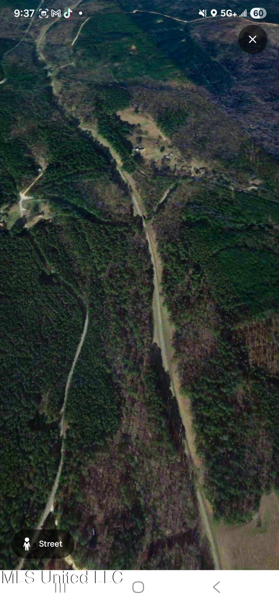 32 Co Road Dennis, MS 38838 - Photo 3 of 10 26146