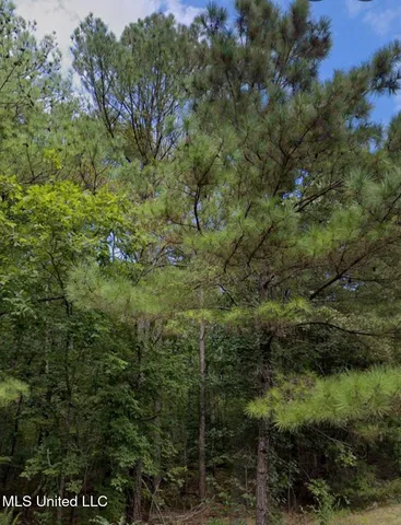 $240,000 | 32 Co Road, Dennis, MS 38838