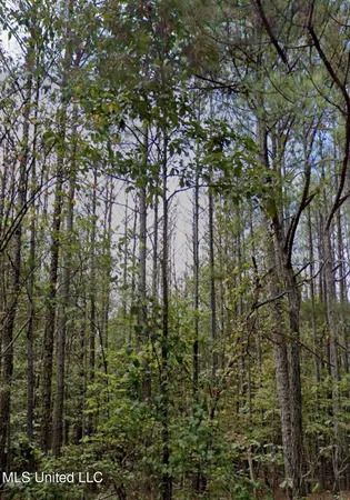 $190,000 | 32 Co Road, Dennis, MS 38838