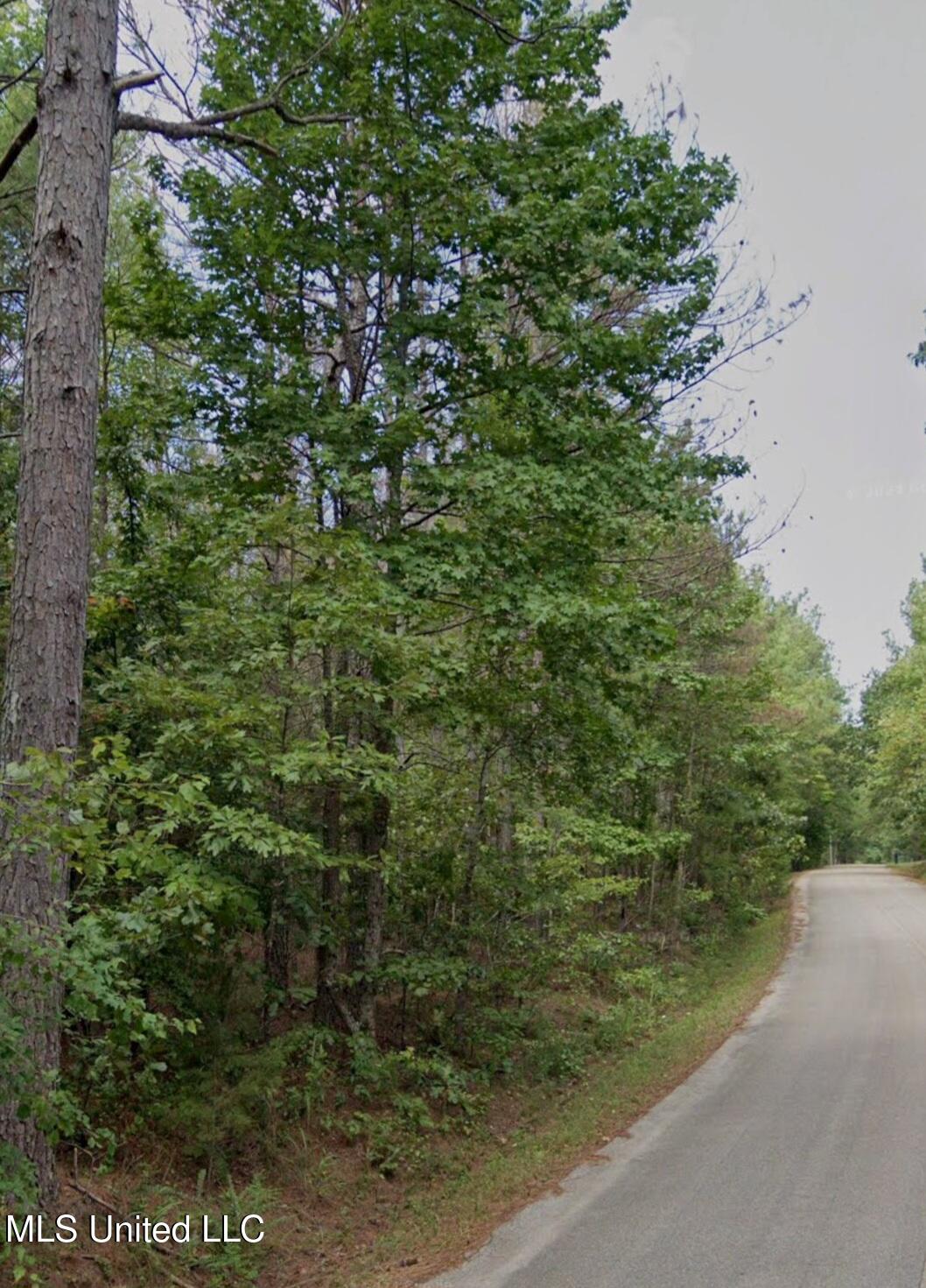 32 Co Road Dennis, MS 38838 - Photo 7 of 10 26150