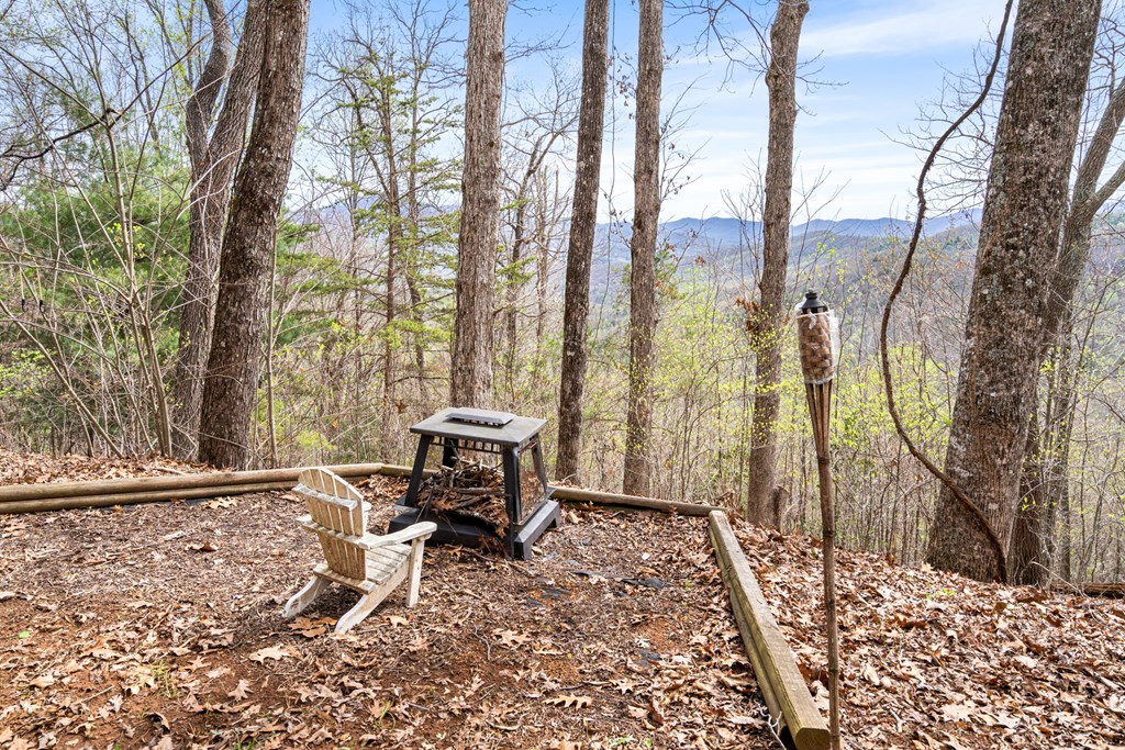 1900 Long Ridge Road Hiawassee, GA 30546 - Photo 11 of 41