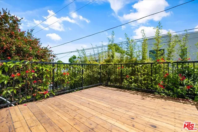 a view of a garden with plants