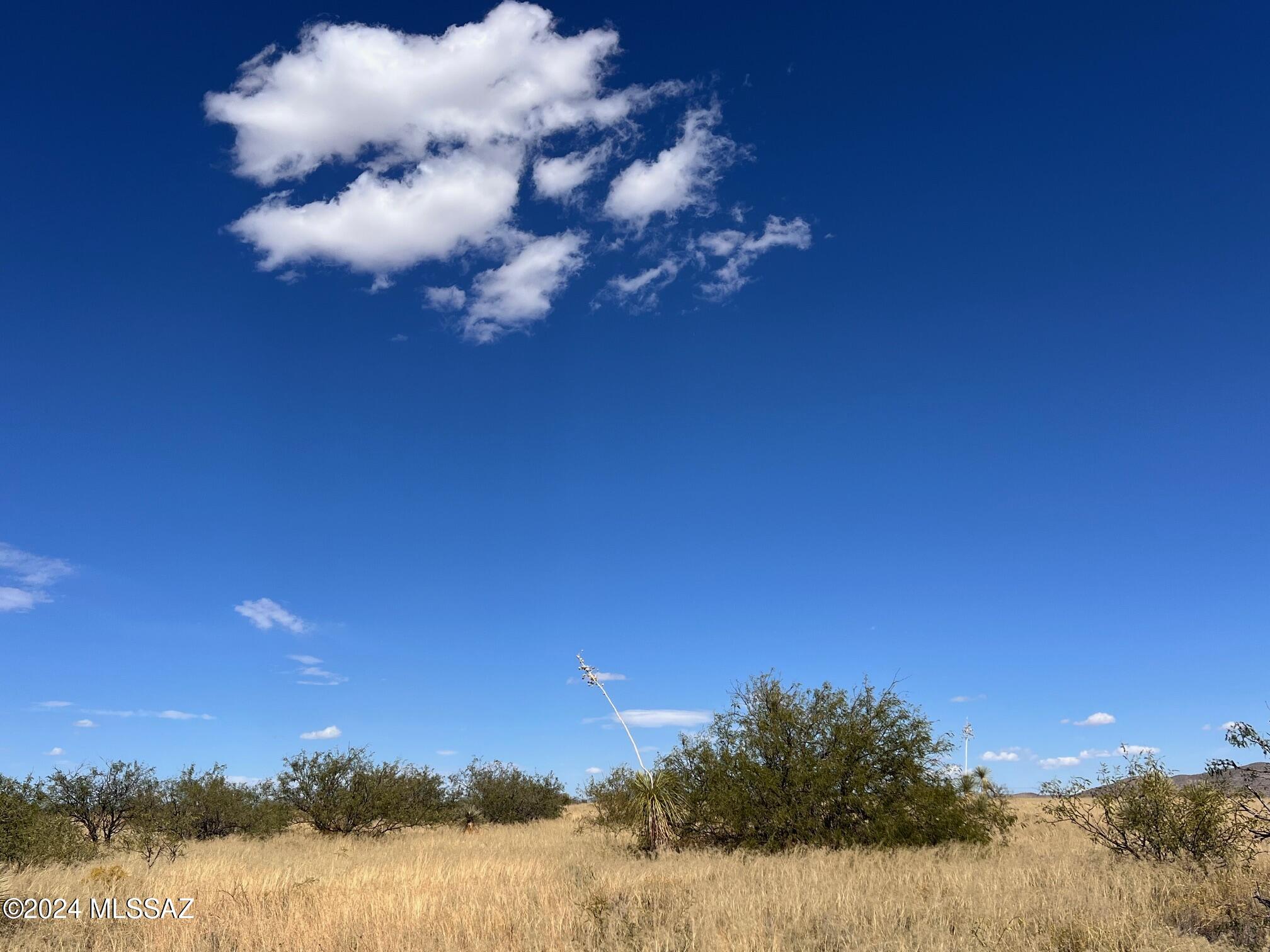 5.40-ac North Johnson Road Dragoon, AZ 85609 - Photo 5 of 15