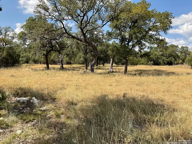 a view of a yard with trees