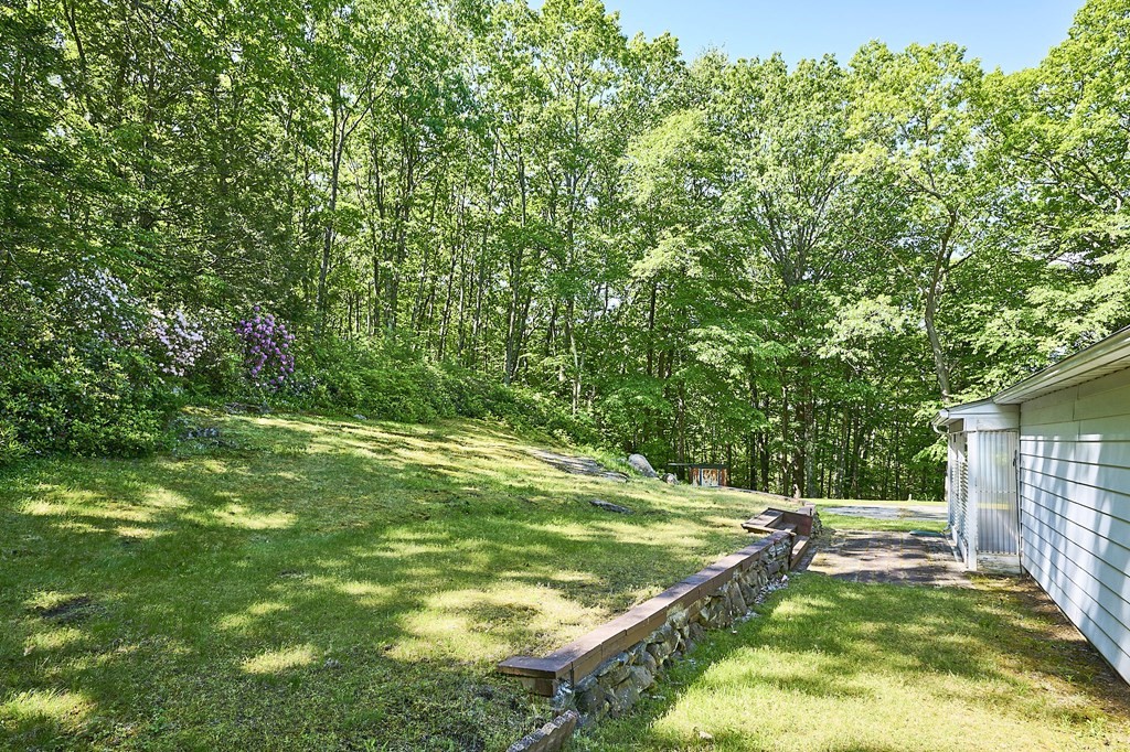 20 Southampton Road Holyoke, MA 01040 - Photo 22 of 28 a view of a backyard with large trees