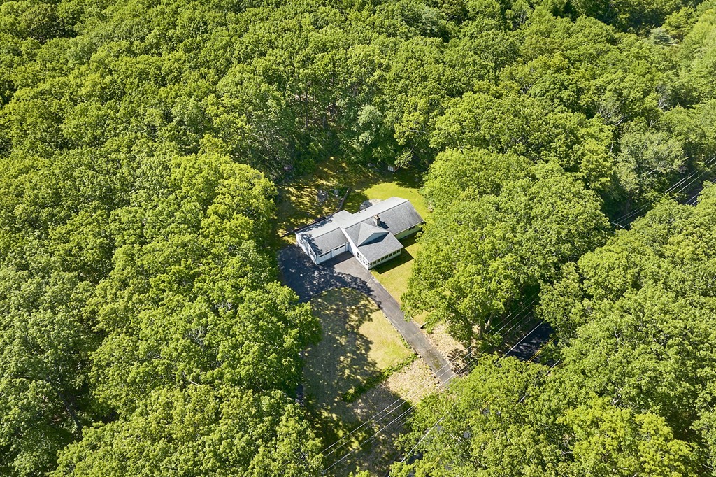 20 Southampton Road Holyoke, MA 01040 - Photo 25 of 28 a view of a house with a tree