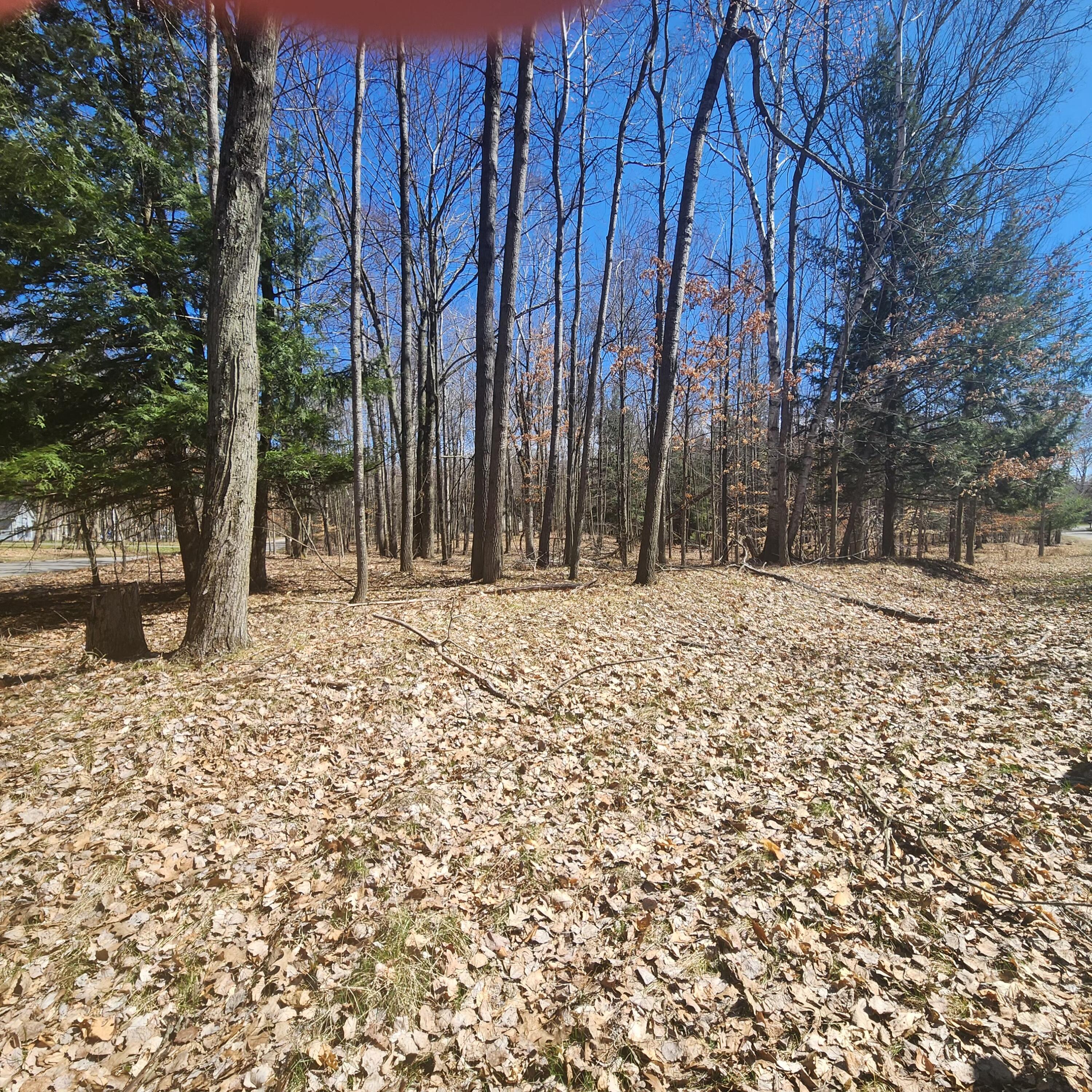 9791 Fawn Ridge Road Canadian Lakes, MI 49346 - Photo 3 of 15 #5 clubhouse dr