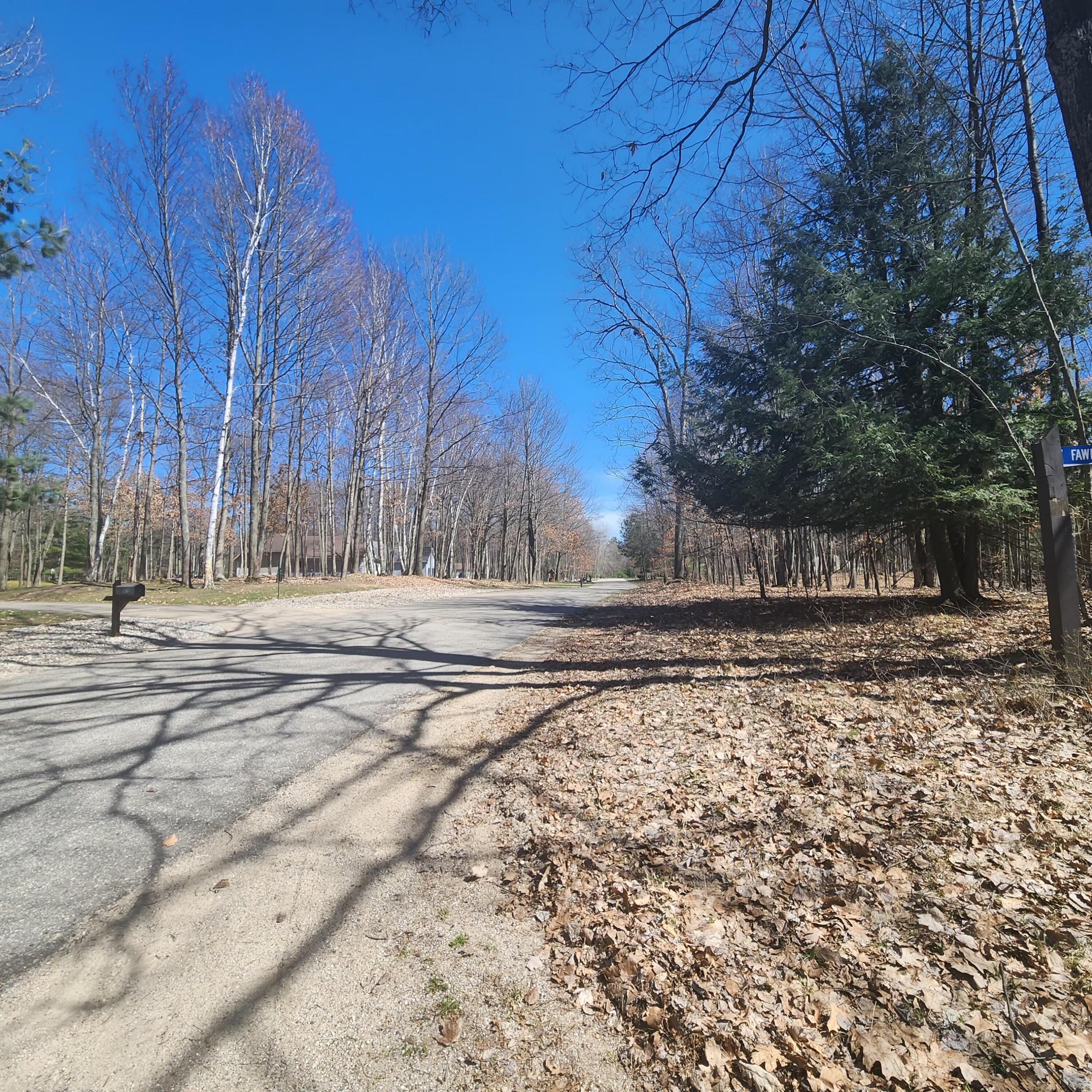 9791 Fawn Ridge Road Canadian Lakes, MI 49346 - Photo 4 of 15 #2 Road