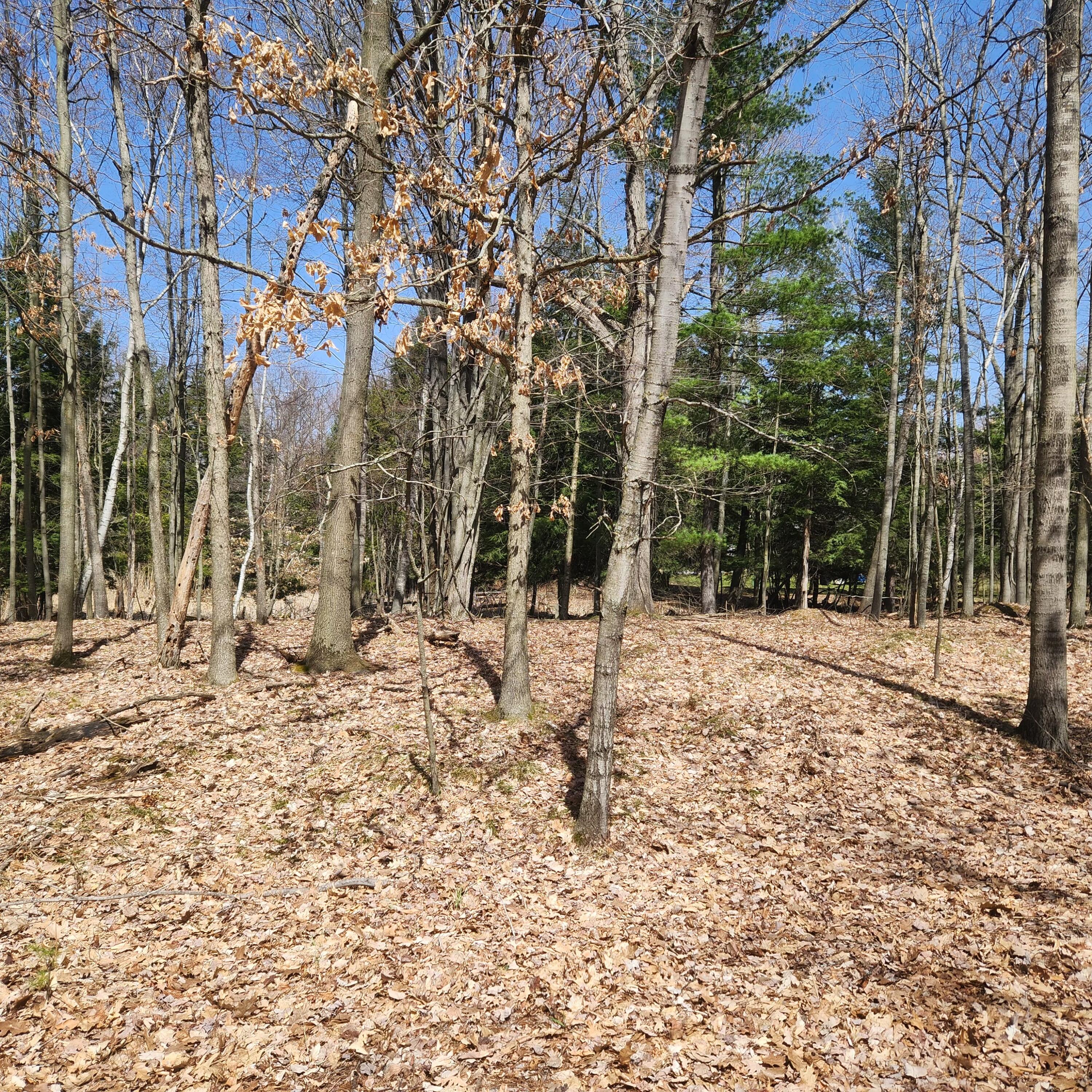 9791 Fawn Ridge Road Canadian Lakes, MI 49346 - Photo 6 of 15 #2 front