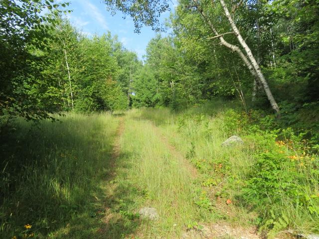 On Gagen Road, Unit 19 ACRES Rhinelander, WI 54501 - Photo 5 of 12 Gallery Image 5