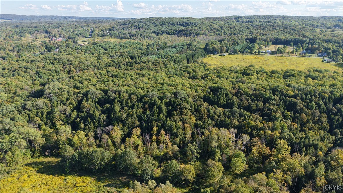 12 Nys Old Route Barneveld, NY 13304 - Photo 3 of 8