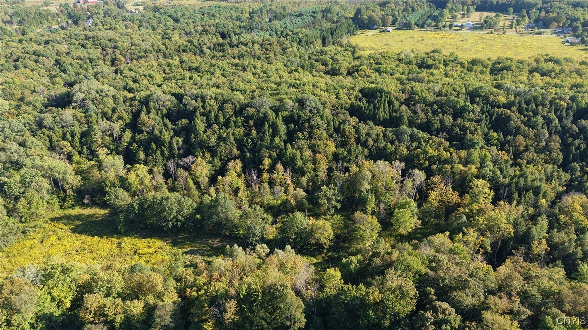 12 Nys Old Route Barneveld, NY 13304 - Photo 4 of 8