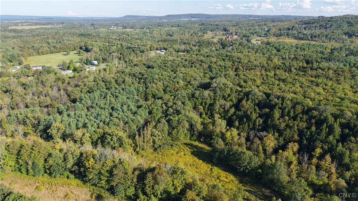 12 Nys Old Route Barneveld, NY 13304 - Photo 5 of 8