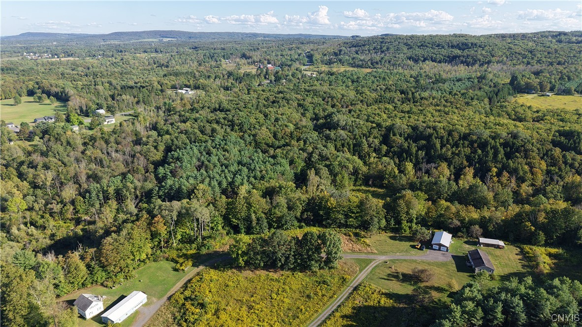 12 Nys Old Route Barneveld, NY 13304 - Photo 7 of 8