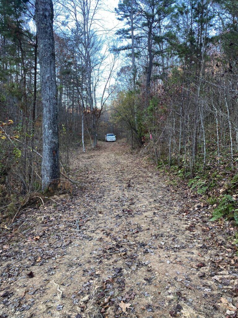 1111 High Knob Ridge Annville, KY 40402 - Photo 4 of 7 IMG_6768-768x1024