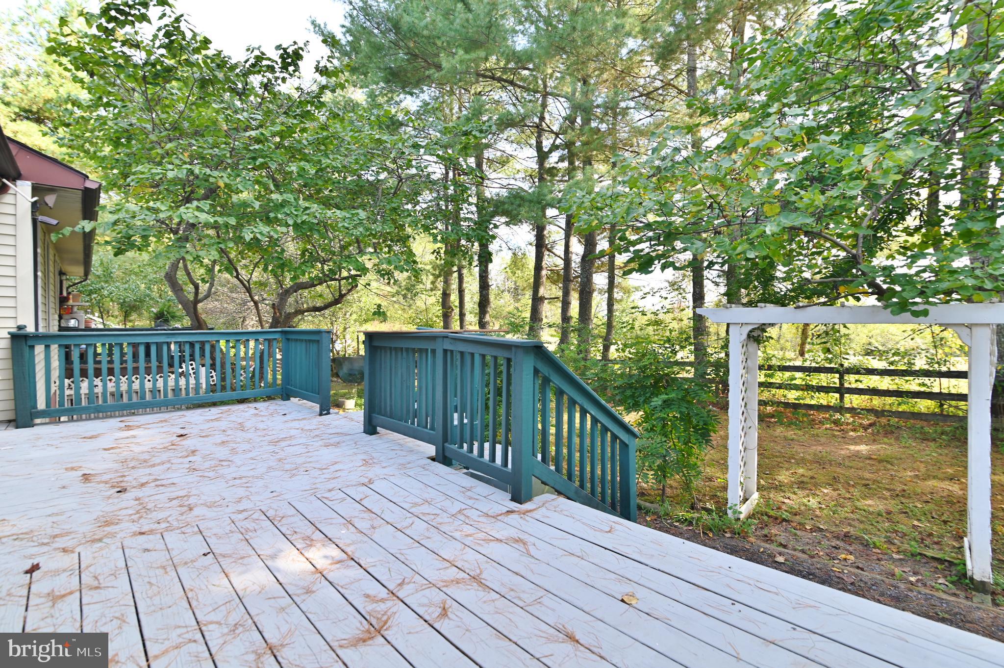 2784 Ridge Hollow Road Edinburg, VA 22824 - Photo 15 of 60 Main Level - Rear Deck