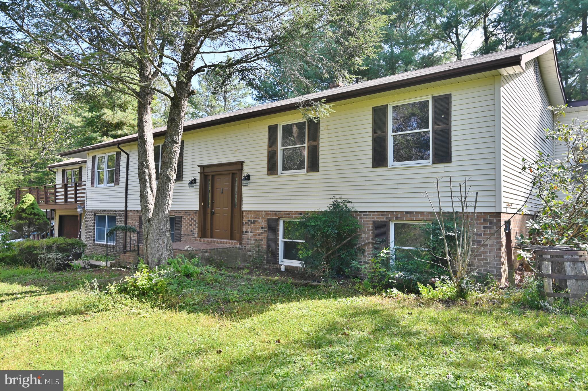 2784 Ridge Hollow Road Edinburg, VA 22824 - Photo 2 of 60 a view of a house with yard and a large tree