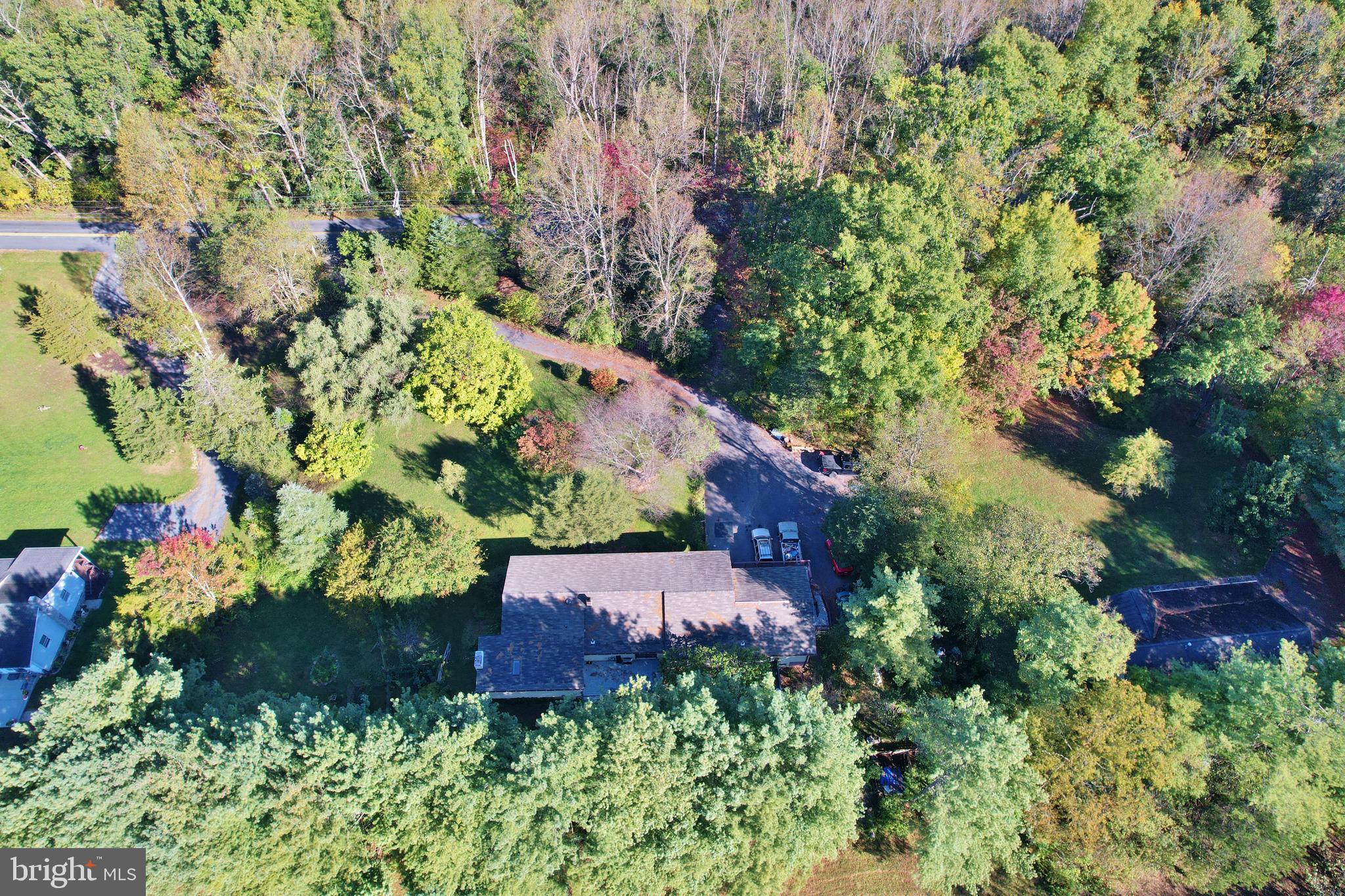 2784 Ridge Hollow Road Edinburg, VA 22824 - Photo 56 of 60 a view of a garden with plants