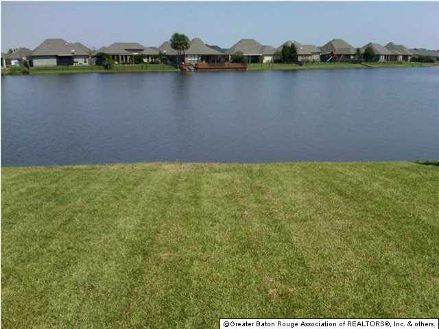 10809 Springtree Avenue Baton Rouge, LA 70810 - Photo 9 of 15 Gallery Image 9