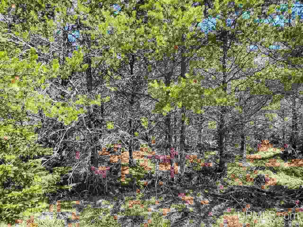 Tbd Forest Hwy 16 Road Iron River, MI 49935 - Photo 35 of 49