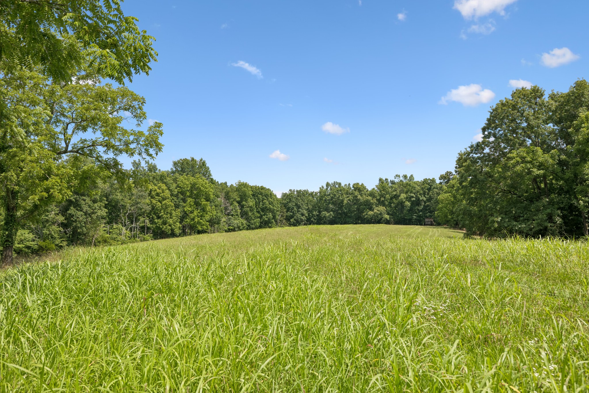 7700 Daugherty-Capley Road Bon Aqua, TN 37025 - Photo 3 of 15