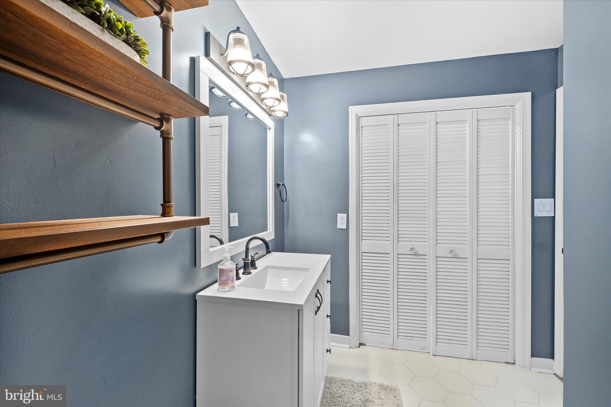 2221 Hunter's Run Drive Reston, VA 20191 - Photo 20 of 25 a bathroom with a sink a mirror and a shower
