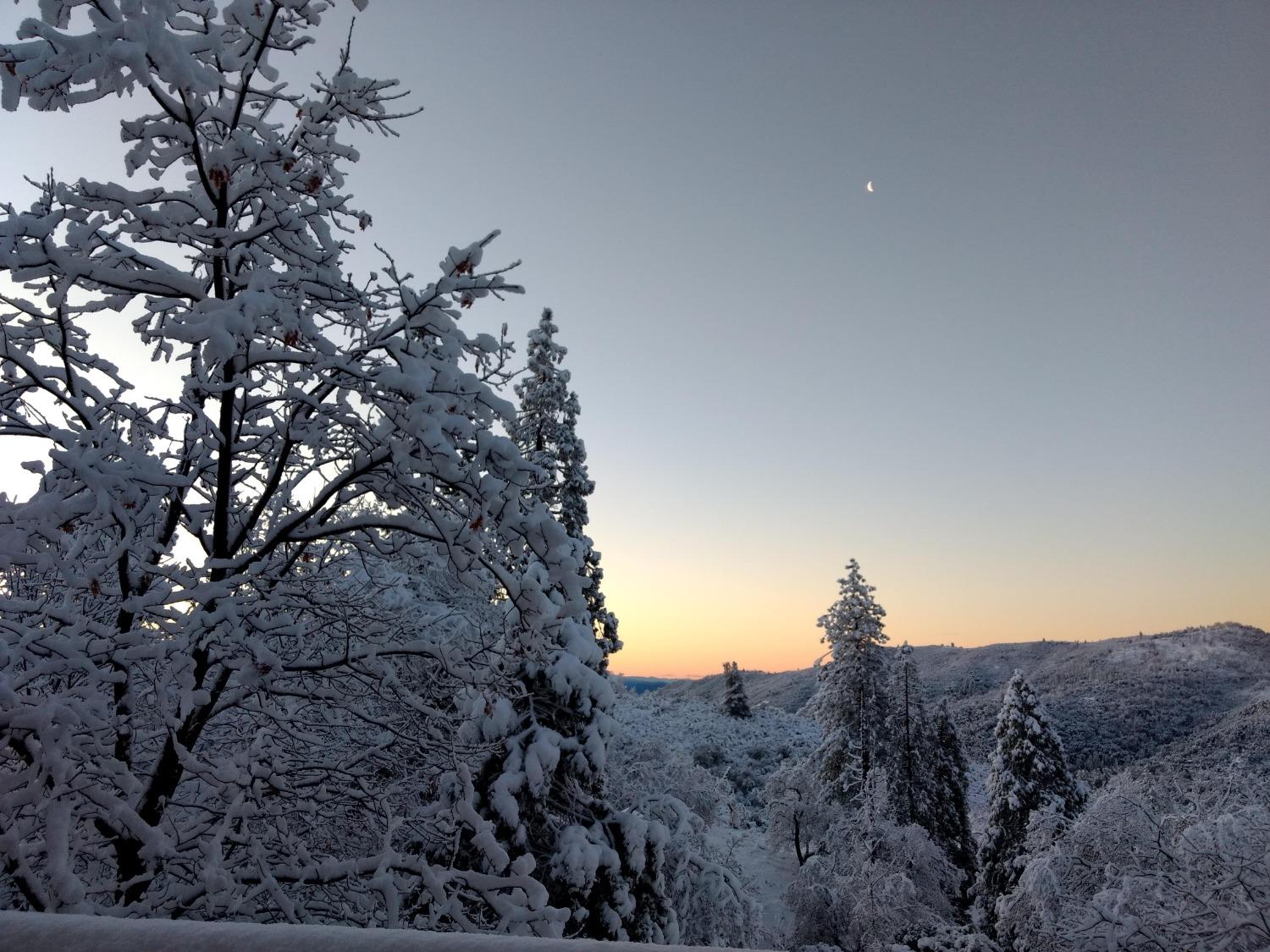 34075 Shaver Springs Road Auberry, CA 93602 - Photo 41 of 41 a view of a tree