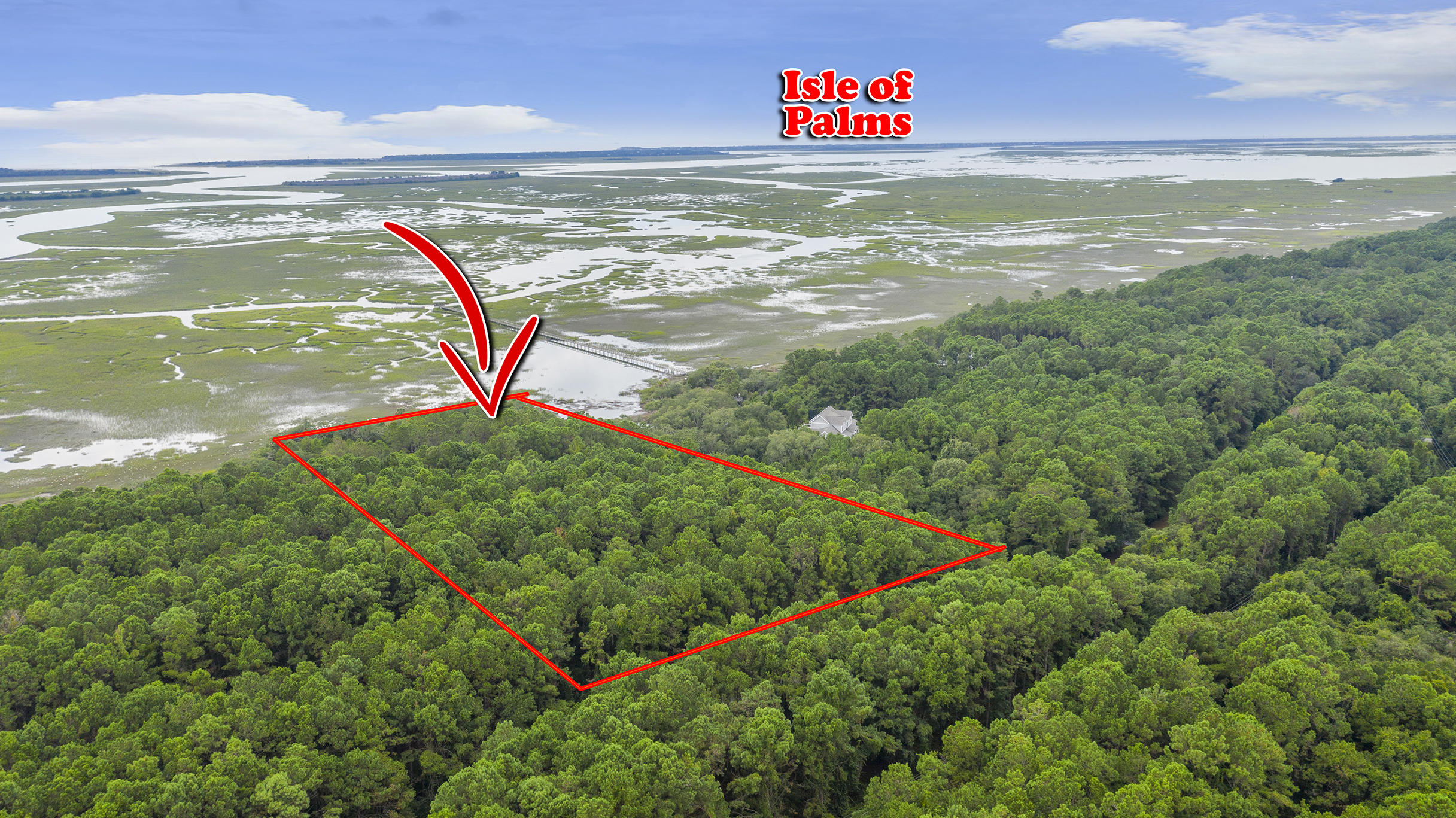 4177 Longmarsh Road Awendaw, SC 29429 - Photo 15 of 35 Longmarsh_Edited_003 copy