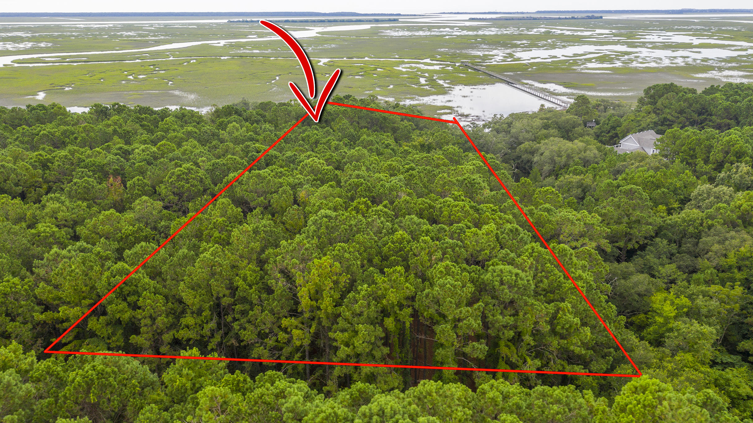 4177 Longmarsh Road Awendaw, SC 29429 - Photo 16 of 35 Longmarsh_Edited_002 copy