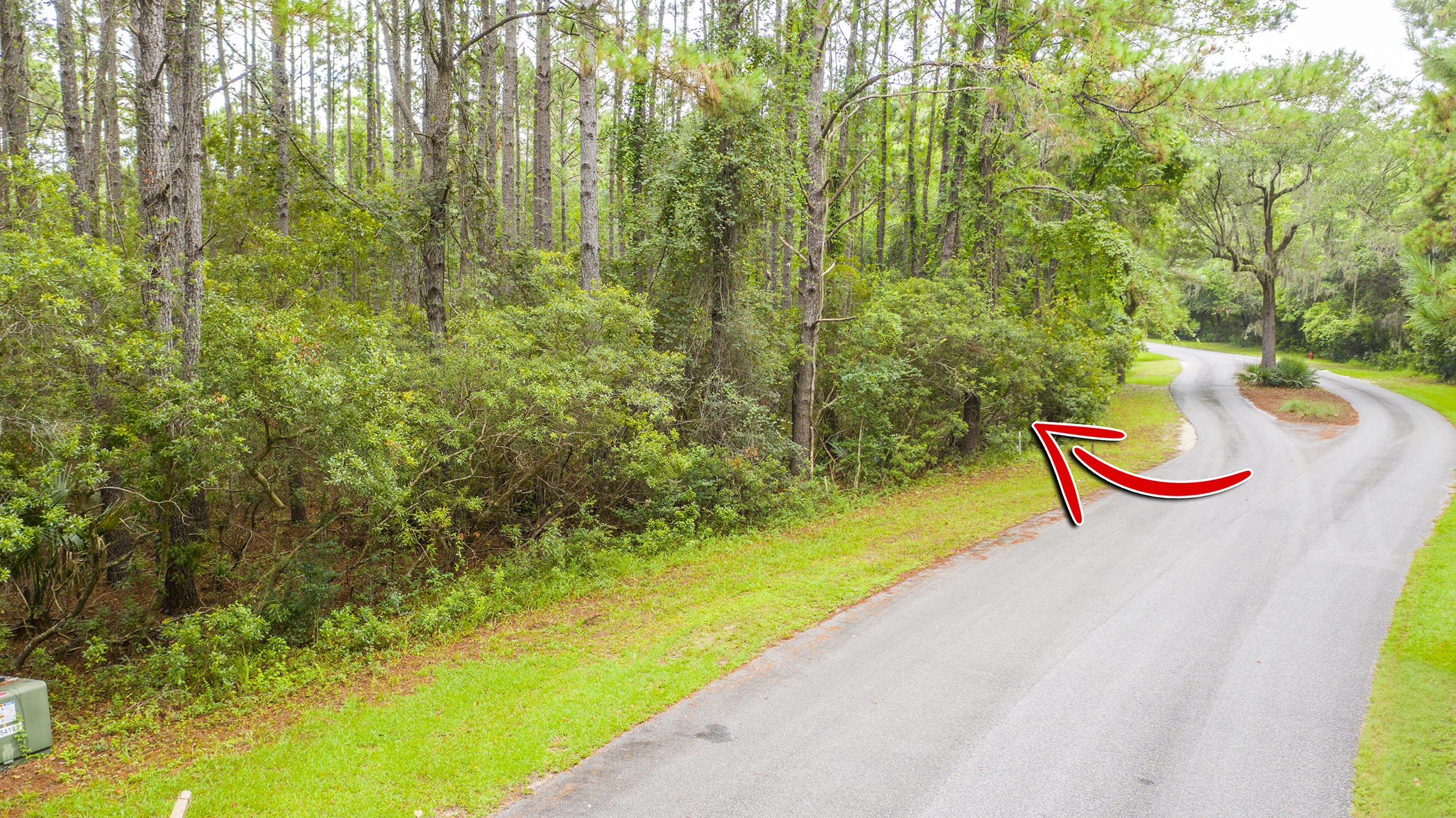 4177 Longmarsh Road Awendaw, SC 29429 - Photo 20 of 35 Longmarsh_Edited_001 copy