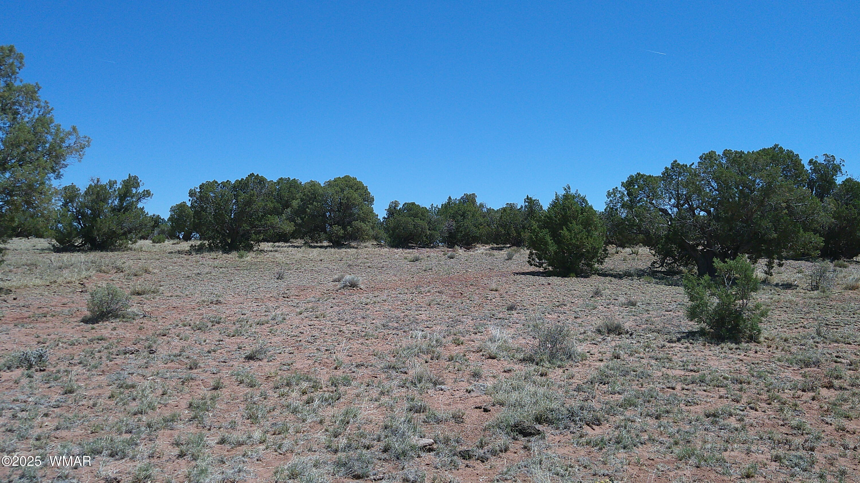 Tbd Tbd Rio Ranch Concho, AZ 85924 - Photo 12 of 44 DSCF0028