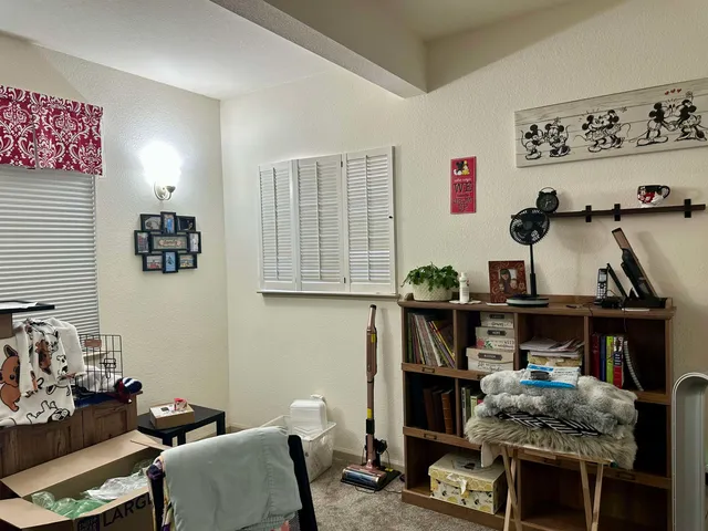 a living room with furniture and a bookshelf