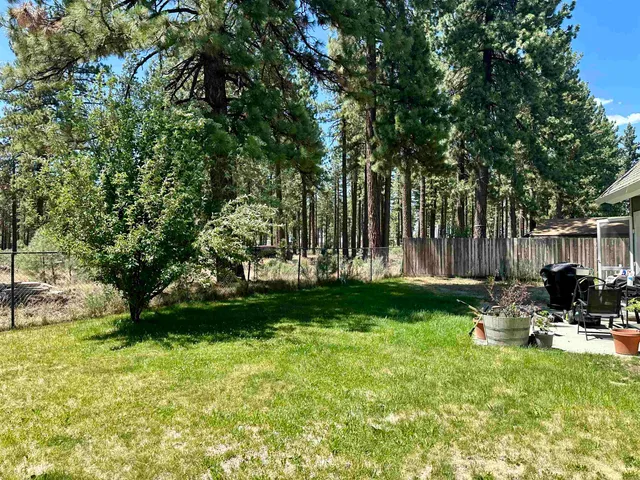 a view of a park with large trees