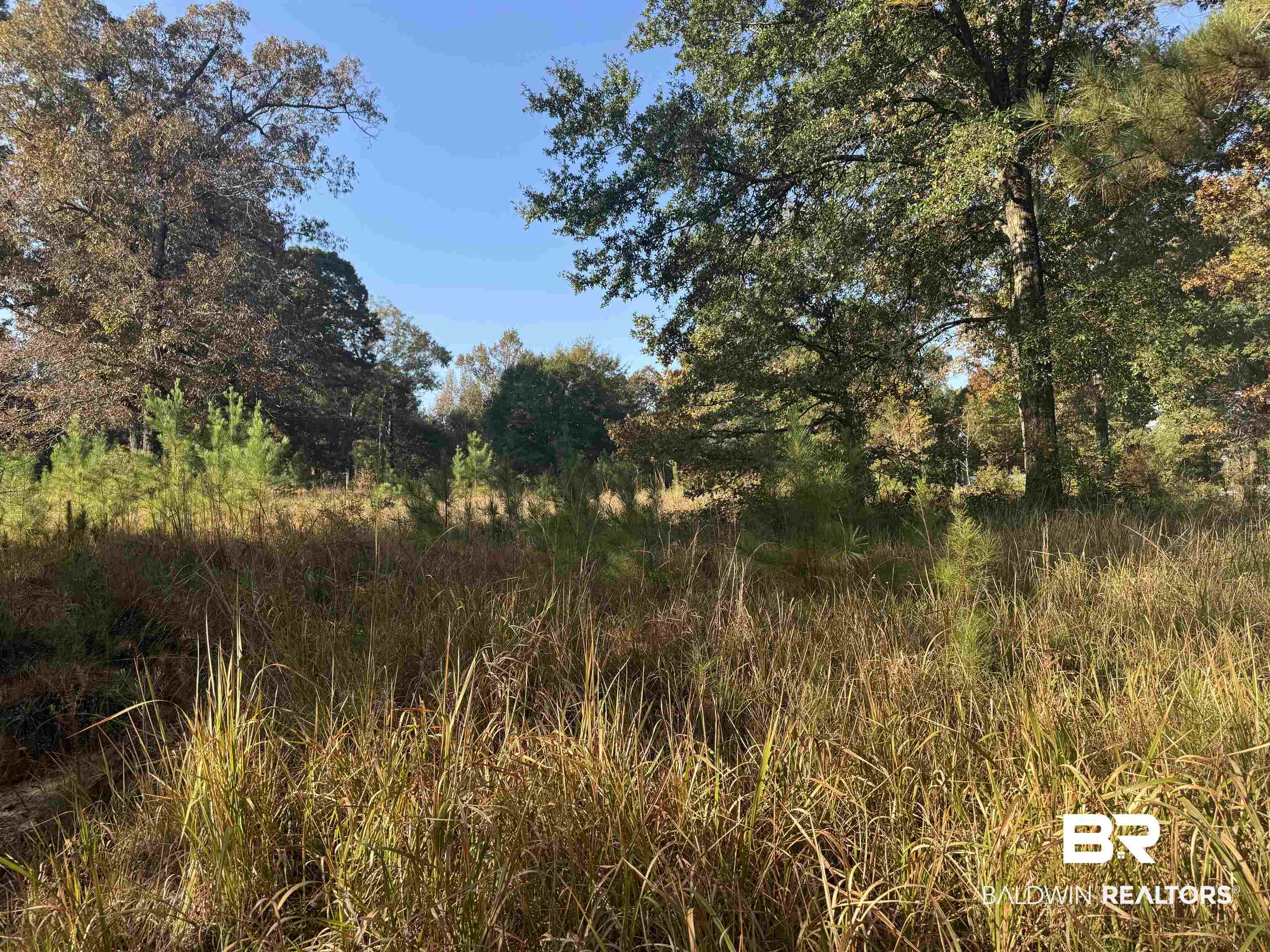 16600 Stacey Road Bay Minette, AL 36507 - Photo 2 of 5