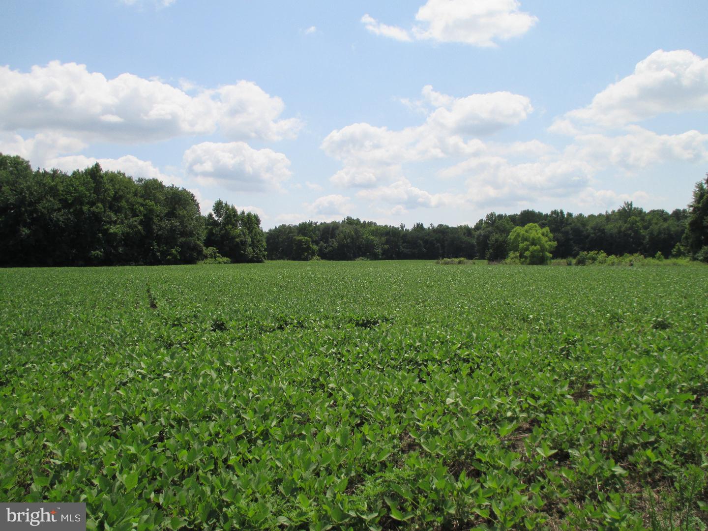 97 Schoolhouse Road Carneys Point, NJ 08069 - Photo 25 of 25 a view of a big yard with a barn