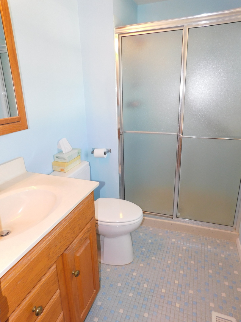 213 Weidner Road Buffalo Grove, IL 60089 - Photo 9 of 15 a bathroom with a sink a toilet and shower