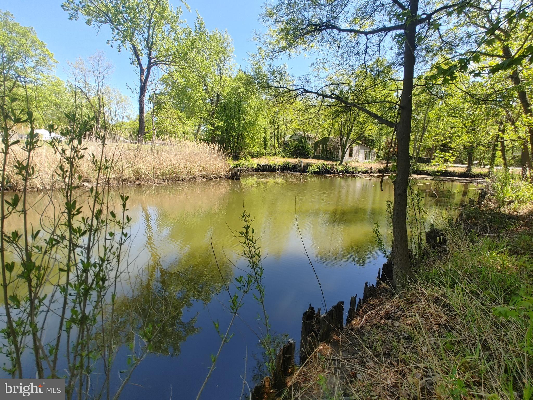 4180 Shoreham Beach Road Edgewater, MD 21037 - Photo 18 of 26 a view of lake