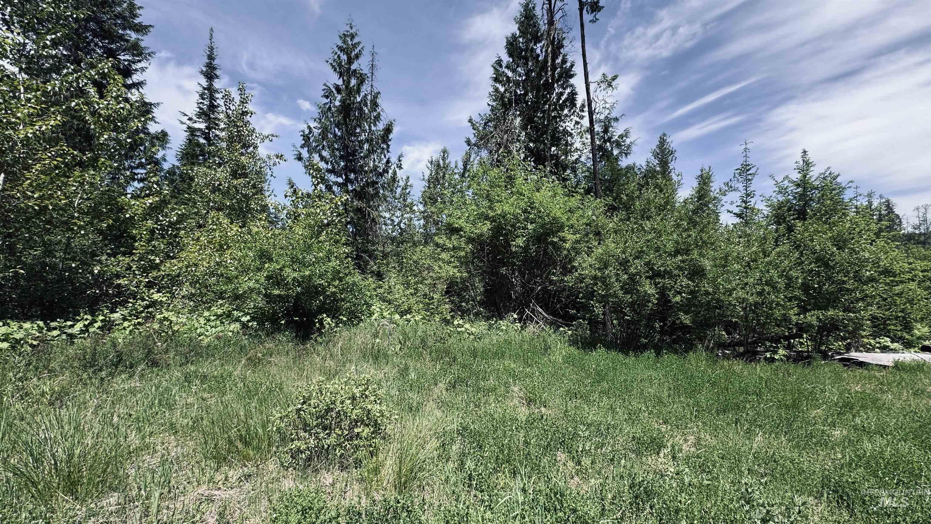 Tbd Glenwood Road Kamiah, ID 83536 - Photo 3 of 50