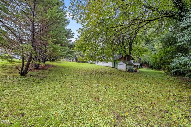 a view of a park with large trees