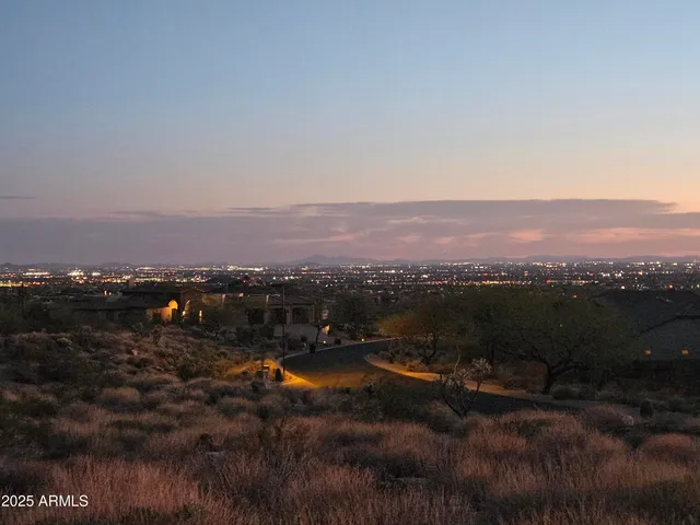 a view of a dry yard