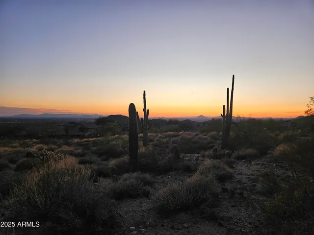 a view of a forest with mountains