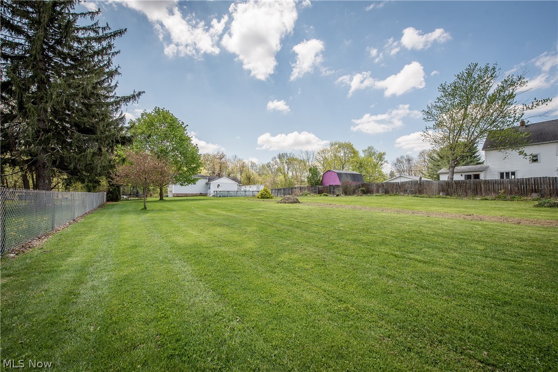 2901 Ries Street Norton, OH 44203 - Photo 24 of 28 View from the back of the lot