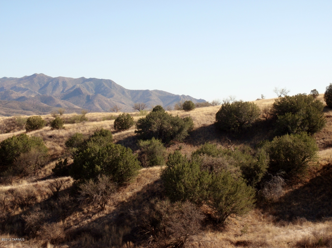 0 Temporal Road, Unit 1 Patagonia, AZ 85624 - Photo 3 of 19