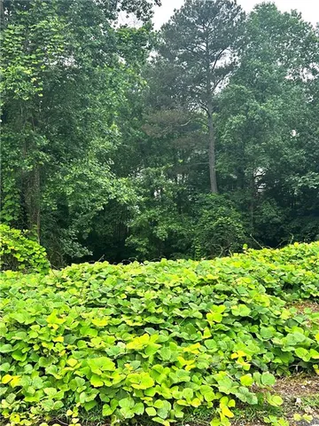 a view of a garden with a tree