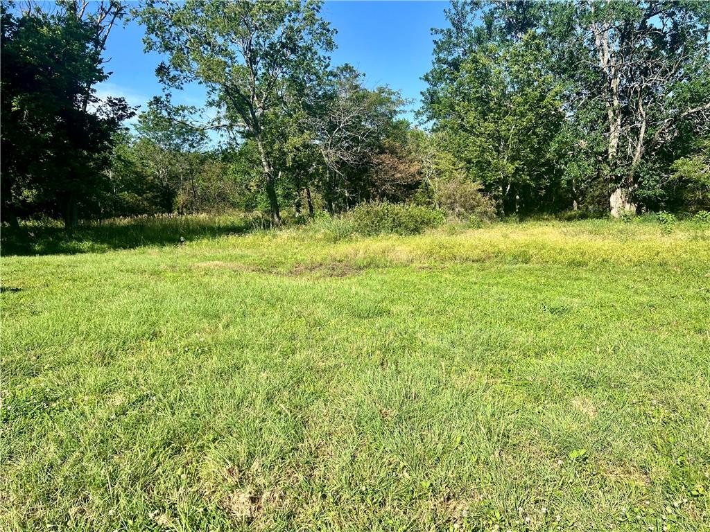 1065 230th Street Fort Scott, KS 66701 - Photo 6 of 12