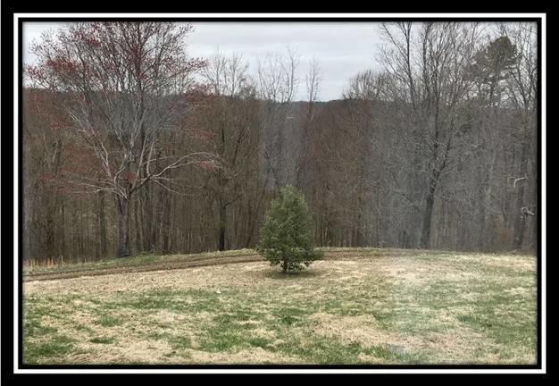 1835 Orpheus Road Thurman, OH 45685 - Photo 35 of 79